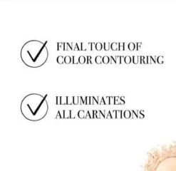 Bourjois Le Petit Strober Highlighter - 00 Universal Glow 21 Bourjois Le Petit Strober Highlighter - 00 Universal Glow -Cosmetisch Korting 1200x1164 8